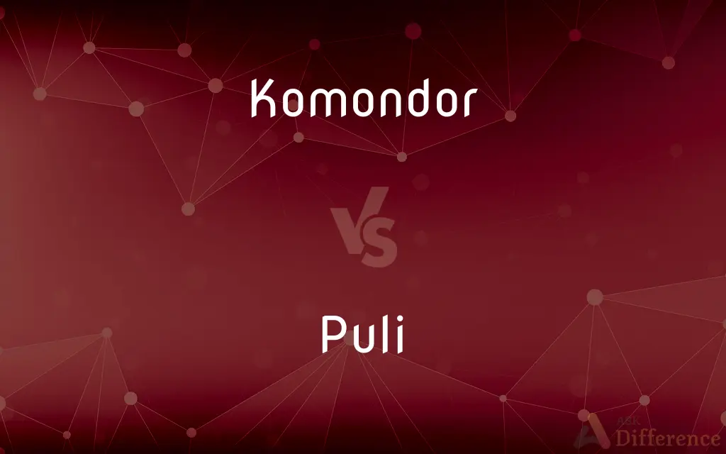 Komondor vs. Puli — What's the Difference?