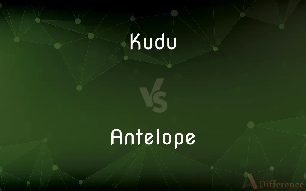Kudu vs. Antelope — What's the Difference?