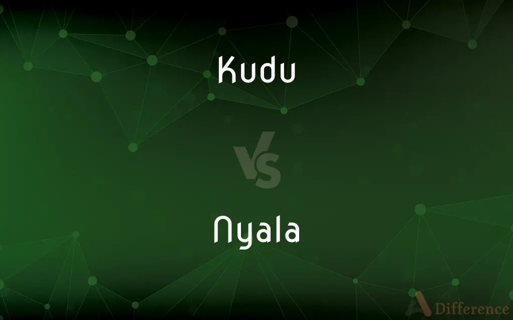 Kudu vs. Nyala — What's the Difference?