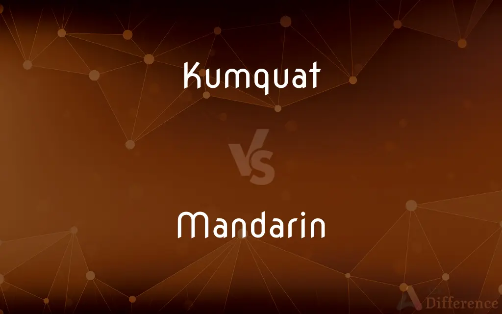 Kumquat vs. Mandarin — What's the Difference?