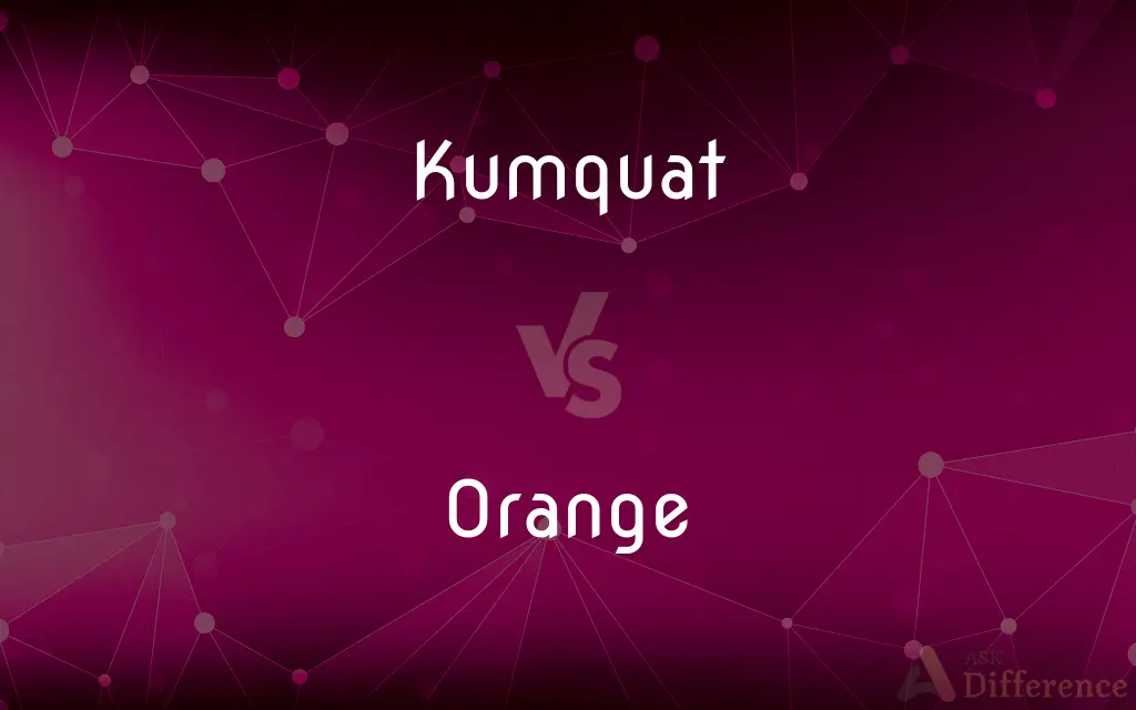 Kumquat vs. Orange — What's the Difference?