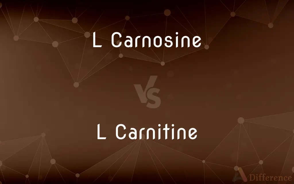 L Carnosine vs. L Carnitine — What's the Difference?