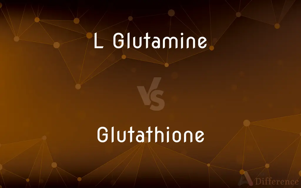 L Glutamine vs. Glutathione — What's the Difference?