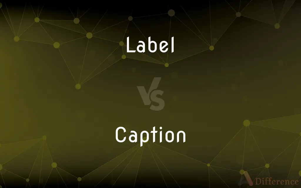 Label vs. Caption — What's the Difference?