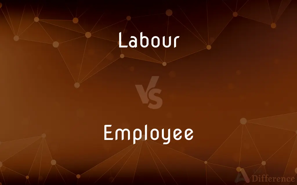 Labour vs. Employee — What's the Difference?