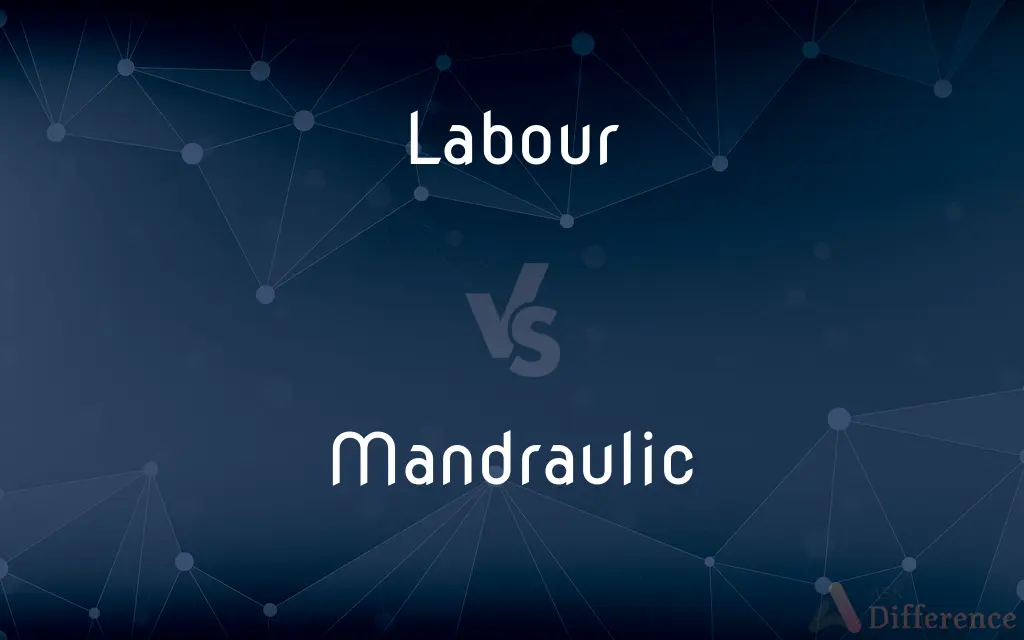 Labour vs. Mandraulic — What's the Difference?
