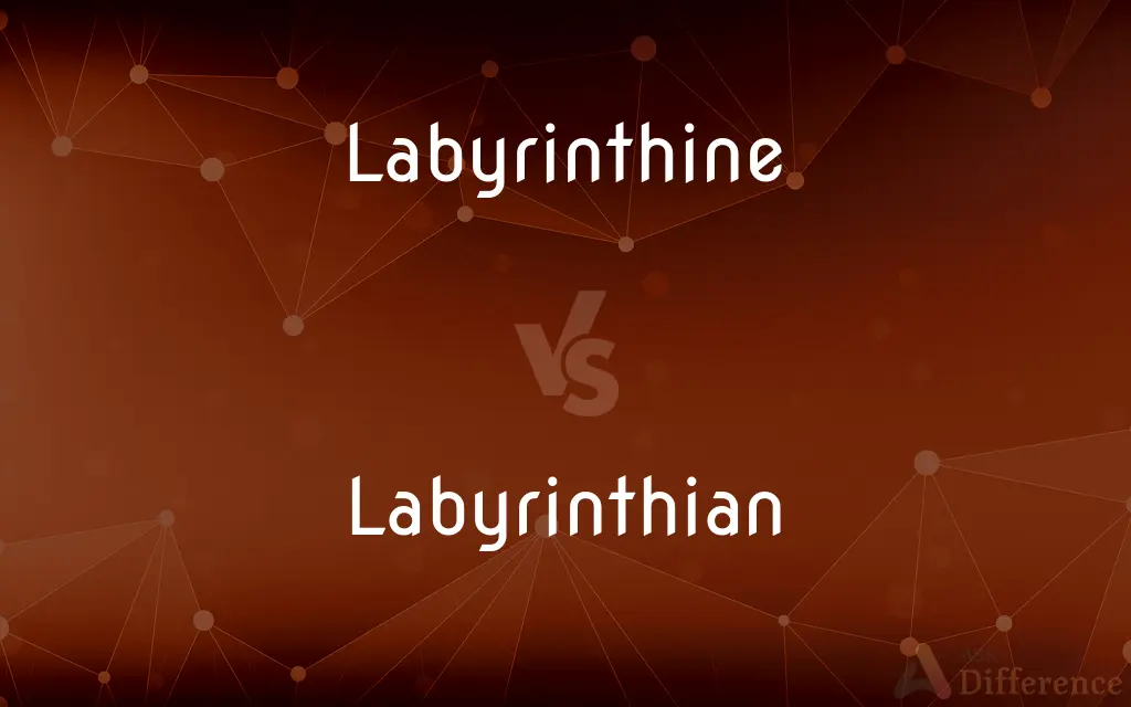Labyrinthine vs. Labyrinthian — What's the Difference?