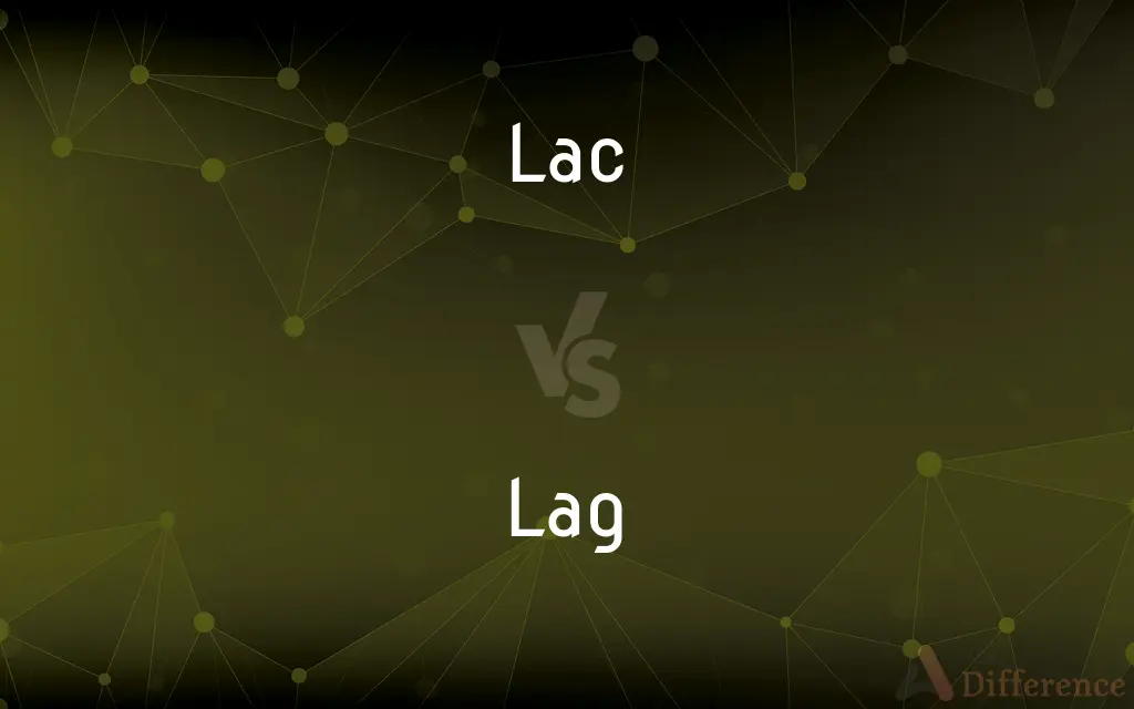 Lac vs. Lag — What's the Difference?