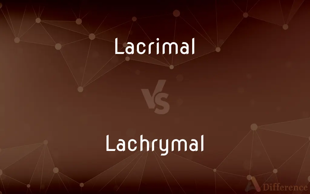 Lacrimal vs. Lachrymal — What's the Difference?