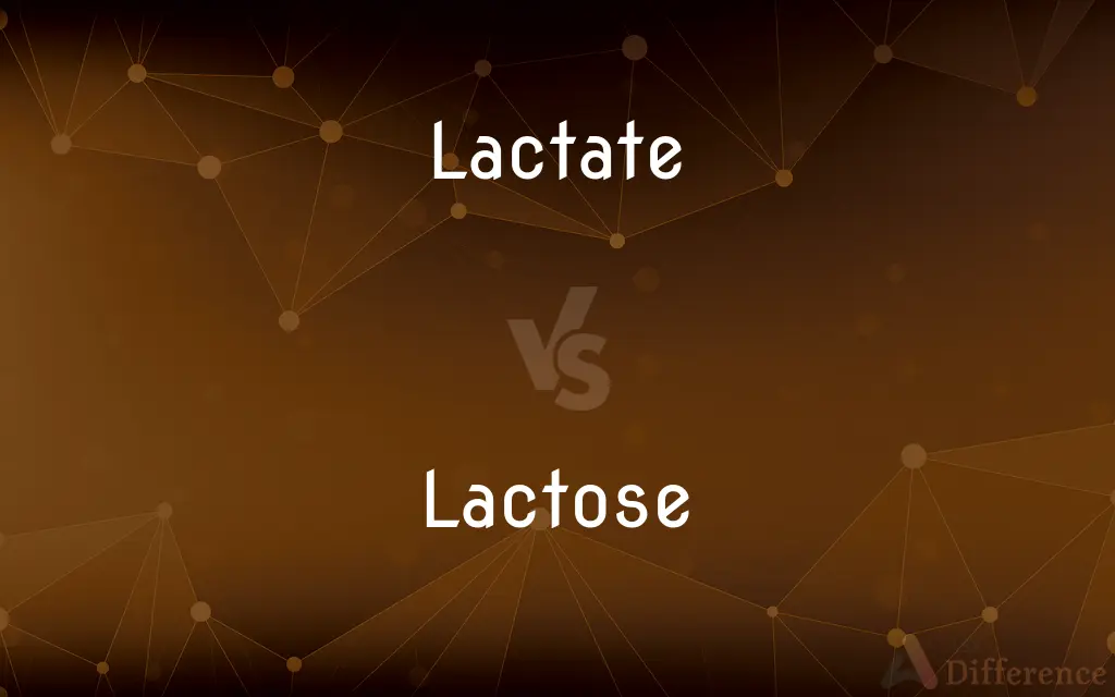 Lactate vs. Lactose — What's the Difference?
