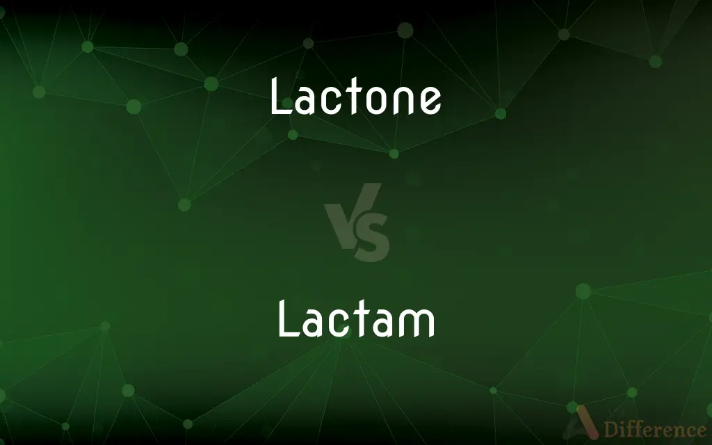 Lactone vs. Lactam — What's the Difference?