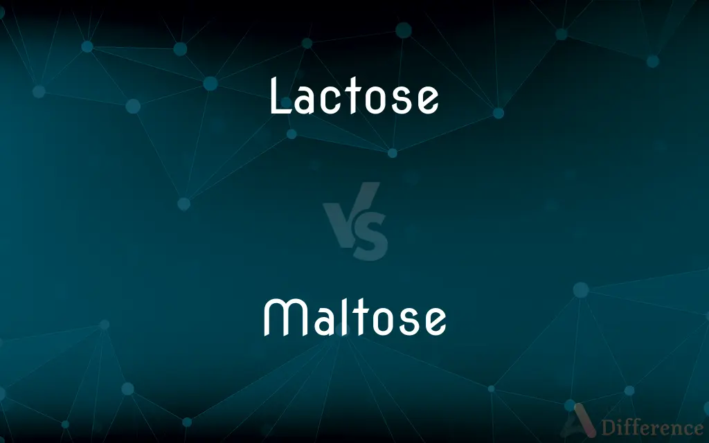 Lactose vs. Maltose — What's the Difference?