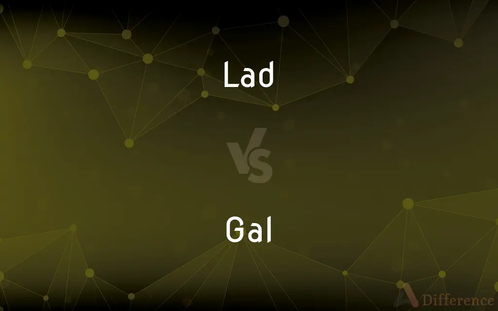 Lad vs. Gal — What's the Difference?