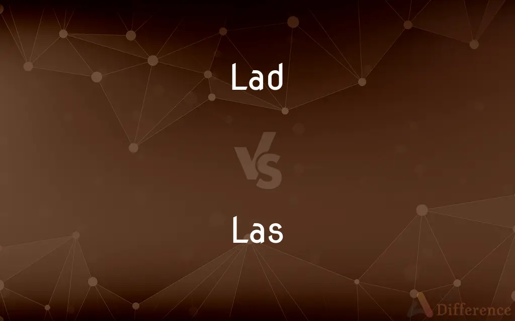 Lad vs. Las — What's the Difference?