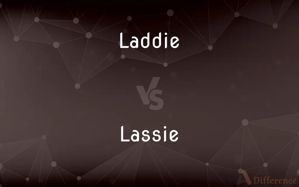 Laddie vs. Lassie — What's the Difference?