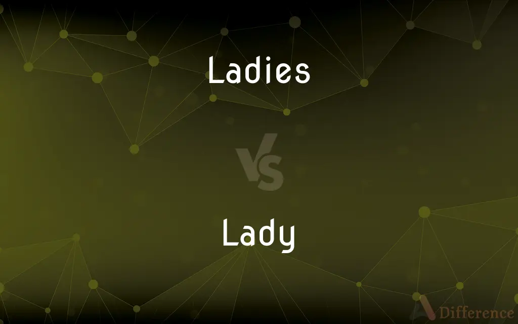 Ladies vs. Lady — What's the Difference?