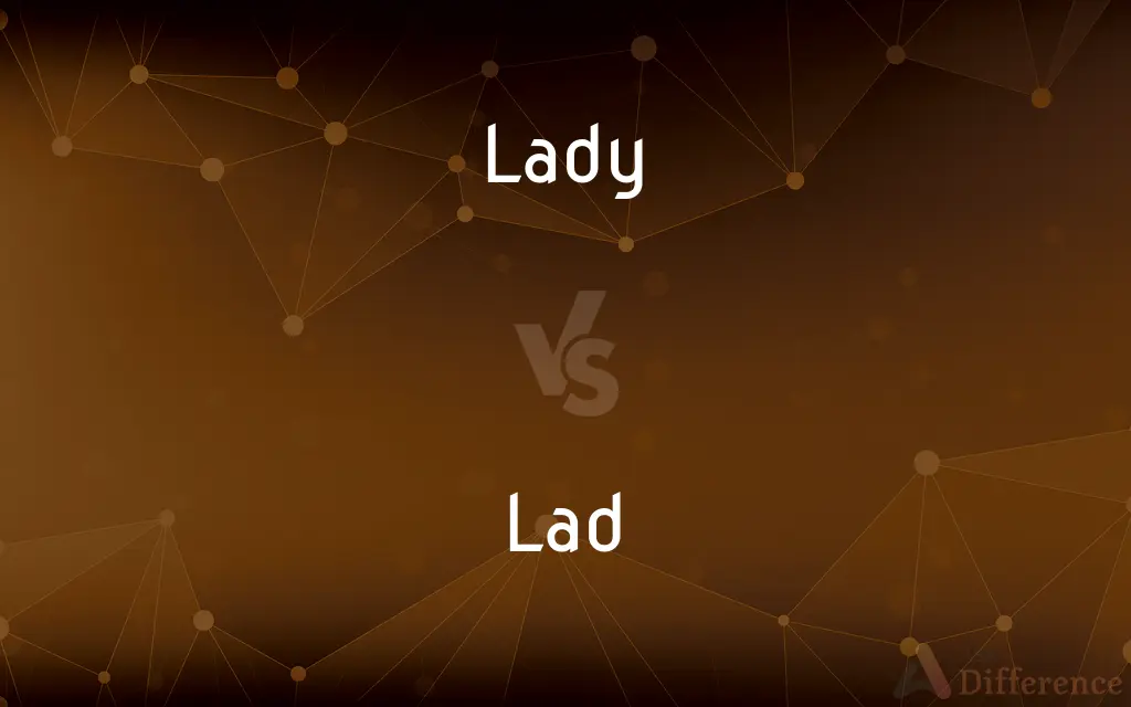 Lady vs. Lad — What's the Difference?