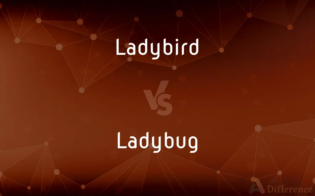 Ladybird vs. Ladybug — What's the Difference?