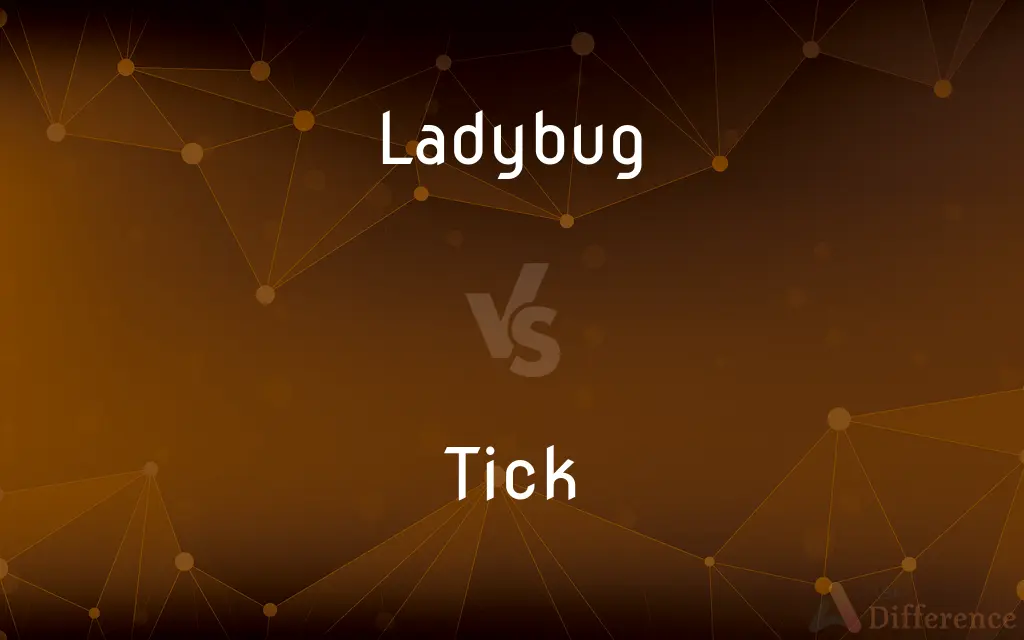 Ladybug vs. Tick — What's the Difference?