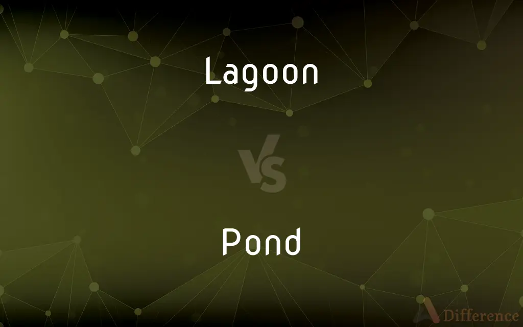 Lagoon vs. Pond — What's the Difference?