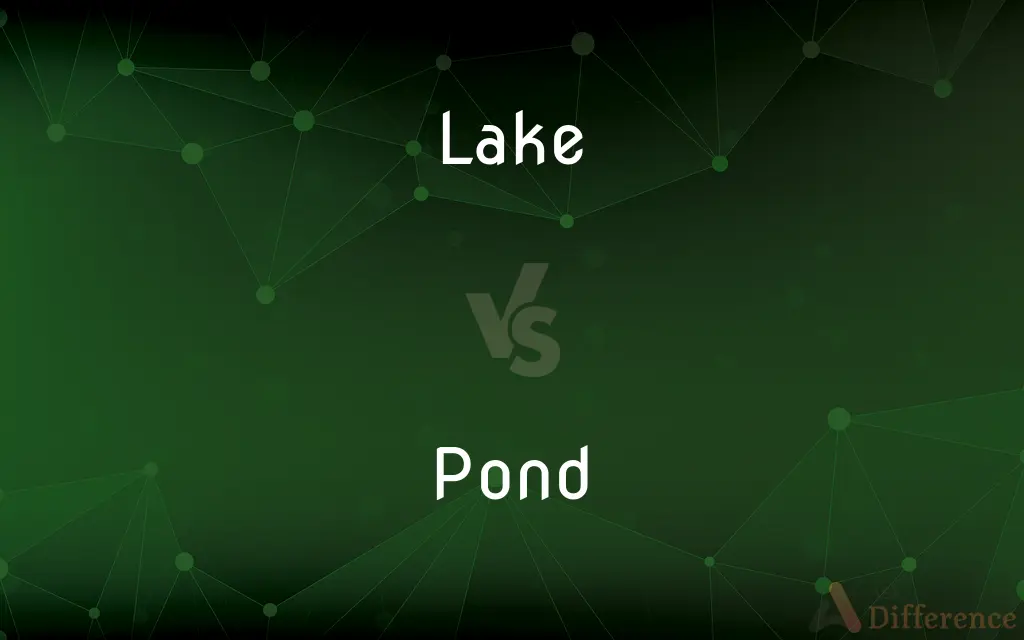 Lake vs. Pond — What's the Difference?