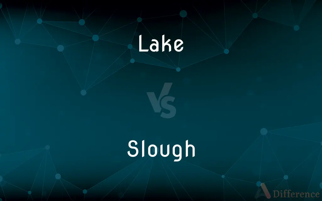 Lake vs. Slough — What's the Difference?