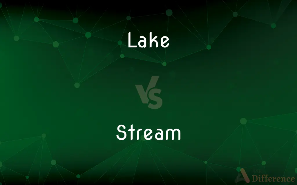 Lake vs. Stream — What's the Difference?