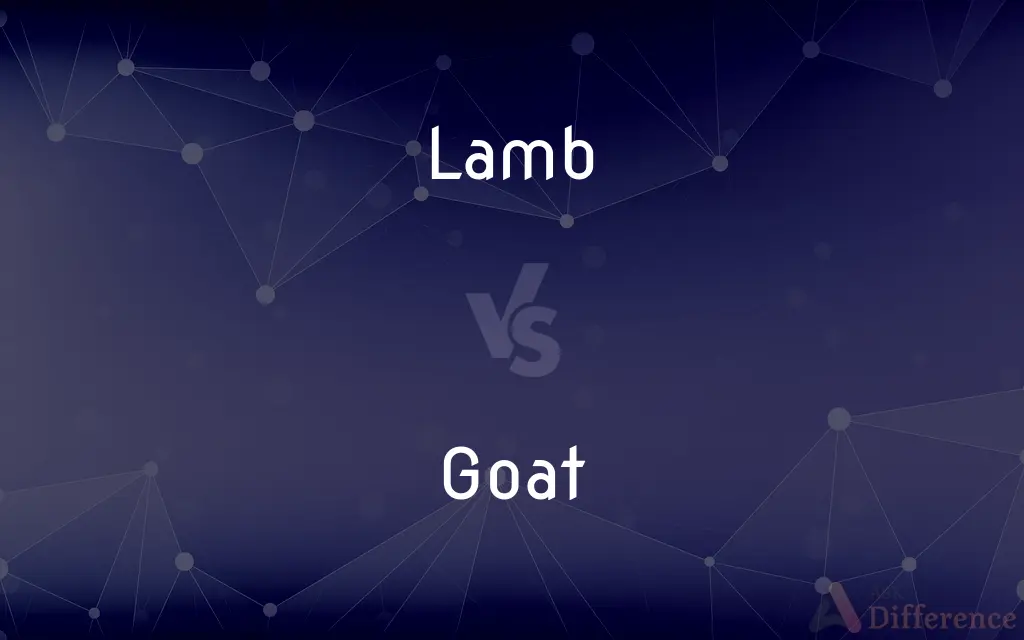 Lamb vs. Goat — What's the Difference?