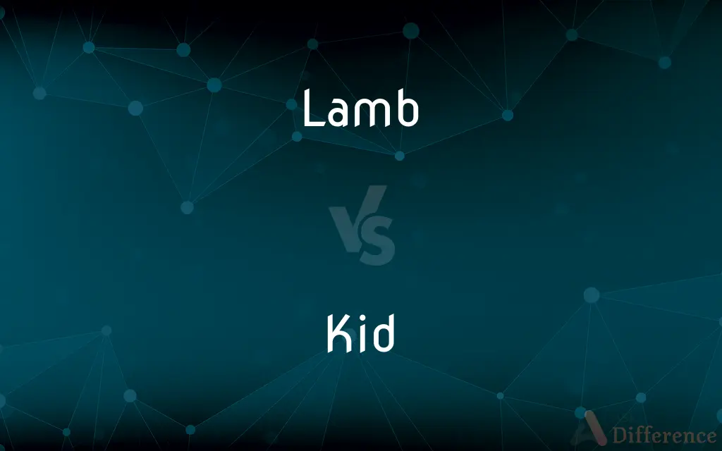 Lamb vs. Kid — What's the Difference?