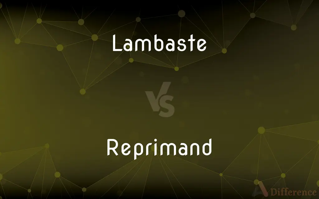 Lambaste vs. Reprimand — What's the Difference?