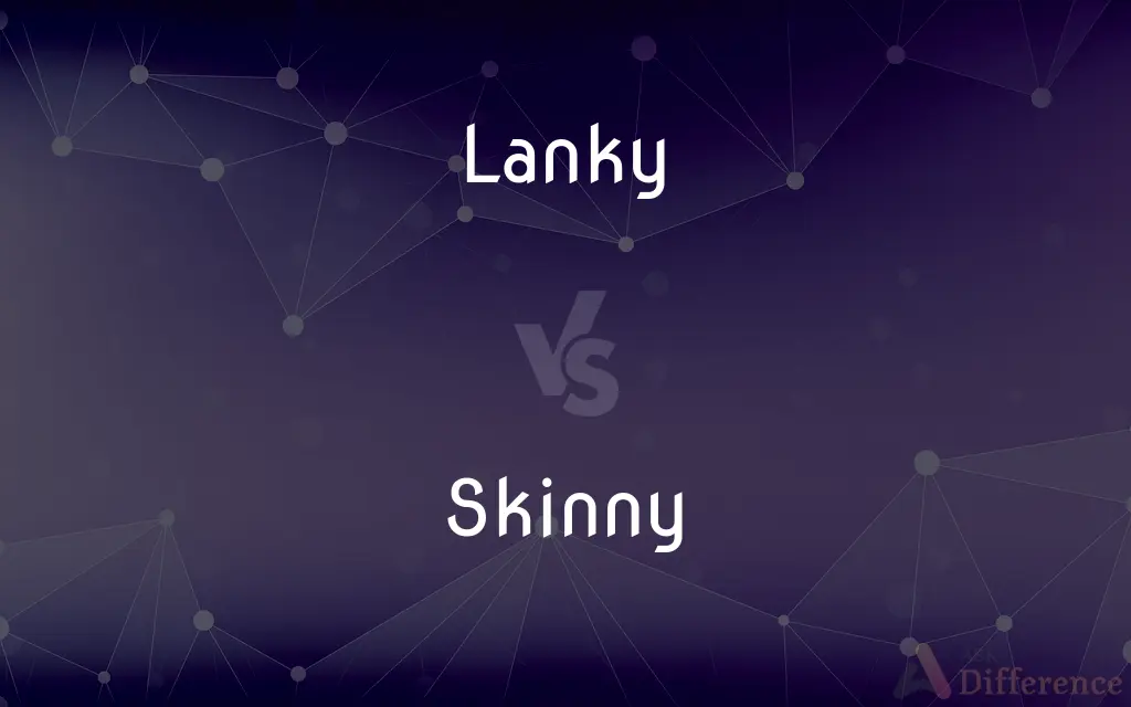 Lanky vs. Skinny — What's the Difference?