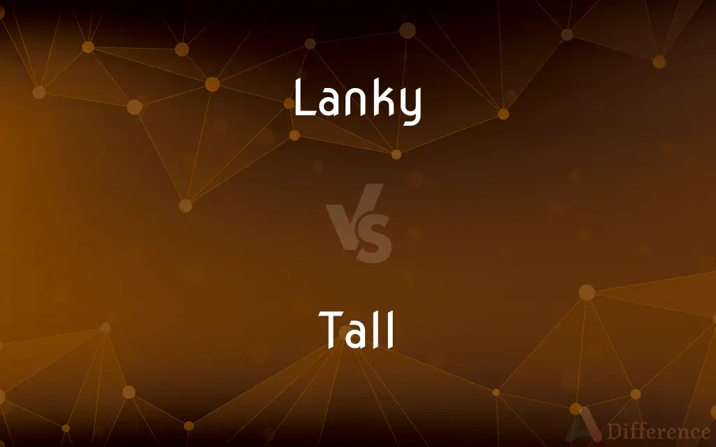 Lanky vs. Tall — What's the Difference?