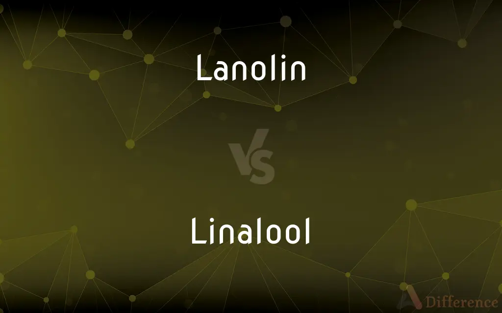 Lanolin vs. Linalool — What's the Difference?