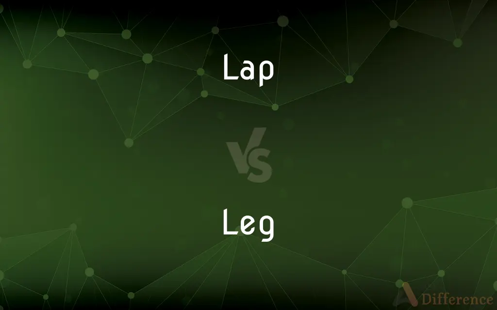 Lap vs. Leg — What's the Difference?