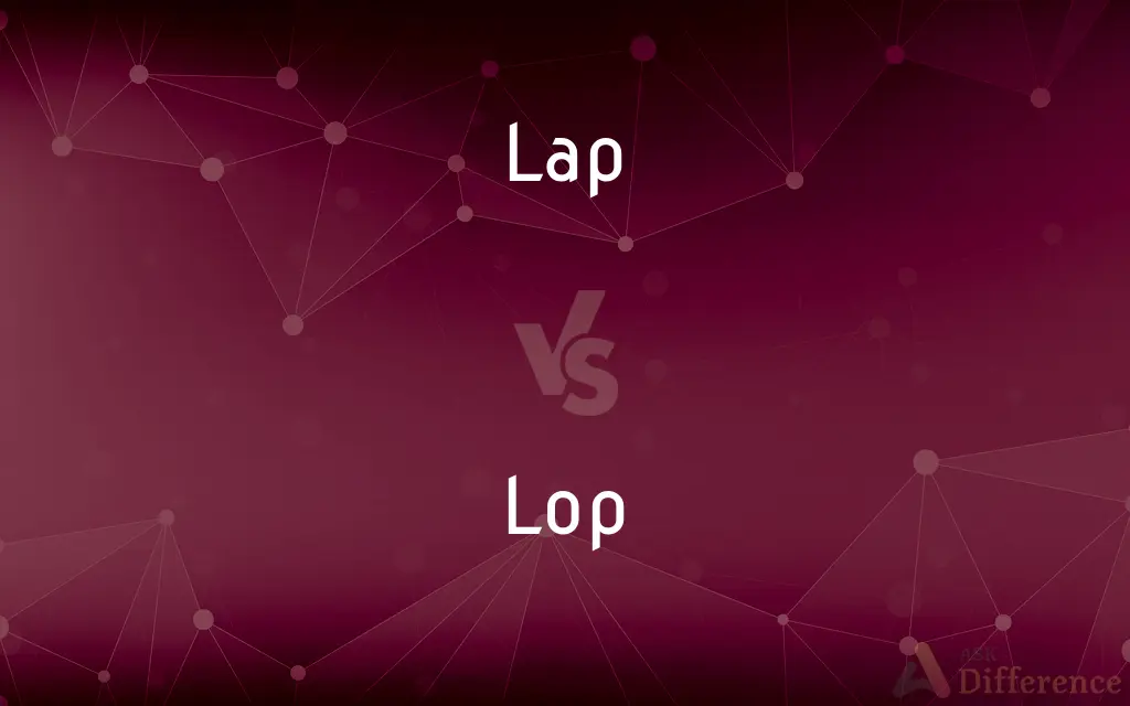 Lap vs. Lop — What's the Difference?