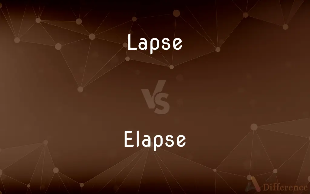 Lapse vs. Elapse — What's the Difference?
