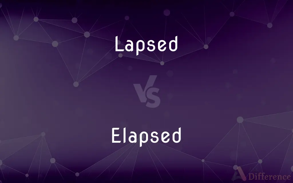 Lapsed vs. Elapsed — What's the Difference?