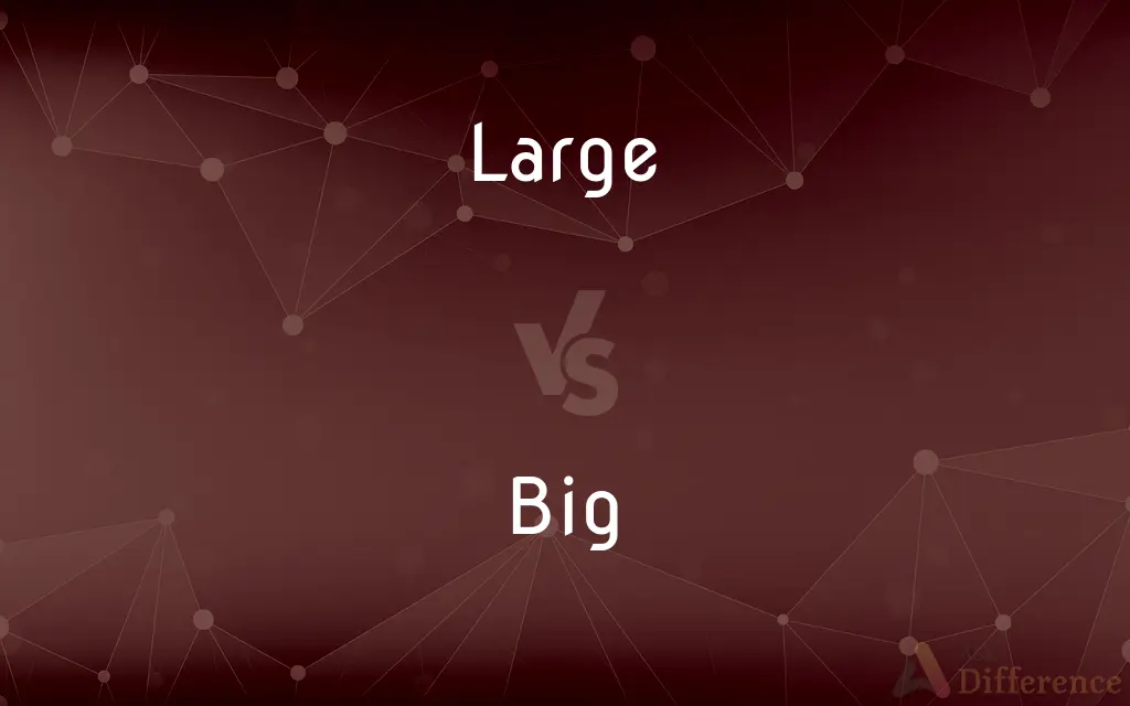 Large vs. Big — What's the Difference?