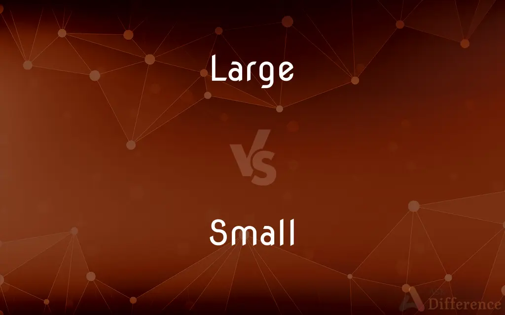 Large vs. Small — What's the Difference?