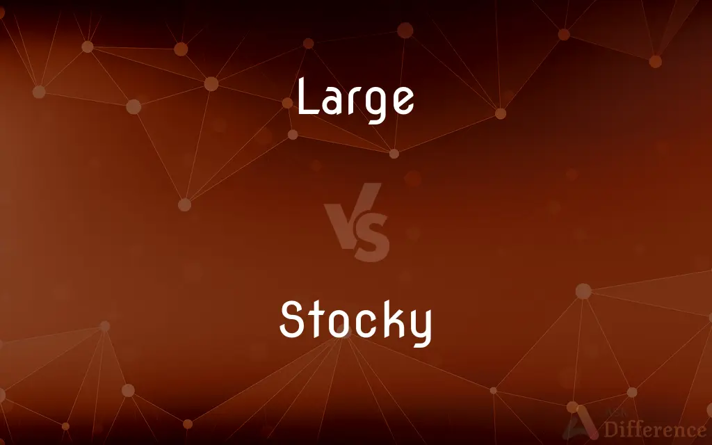 Large vs. Stocky — What's the Difference?