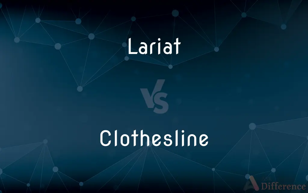 Lariat vs. Clothesline — What's the Difference?