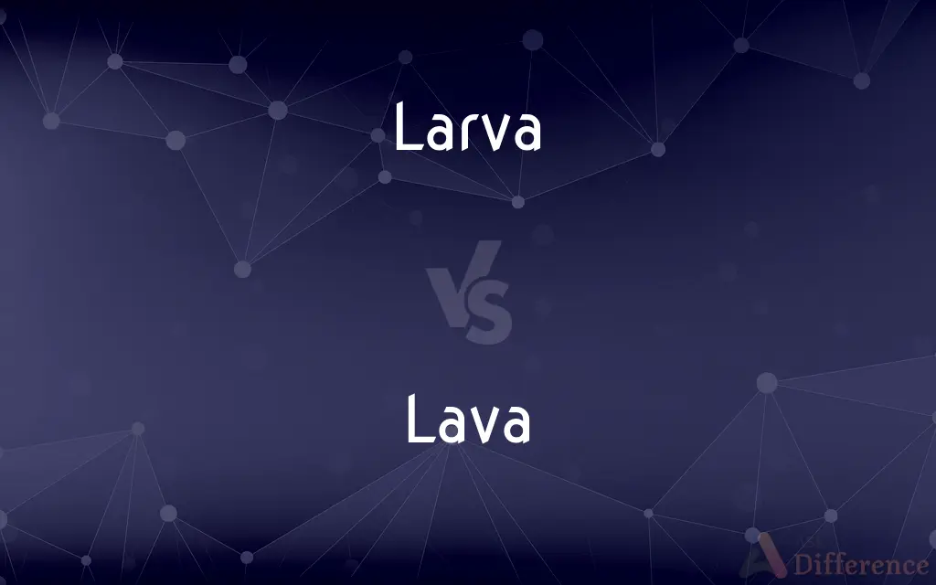 Larva vs. Lava — What's the Difference?