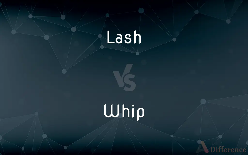 Lash vs. Whip — What's the Difference?
