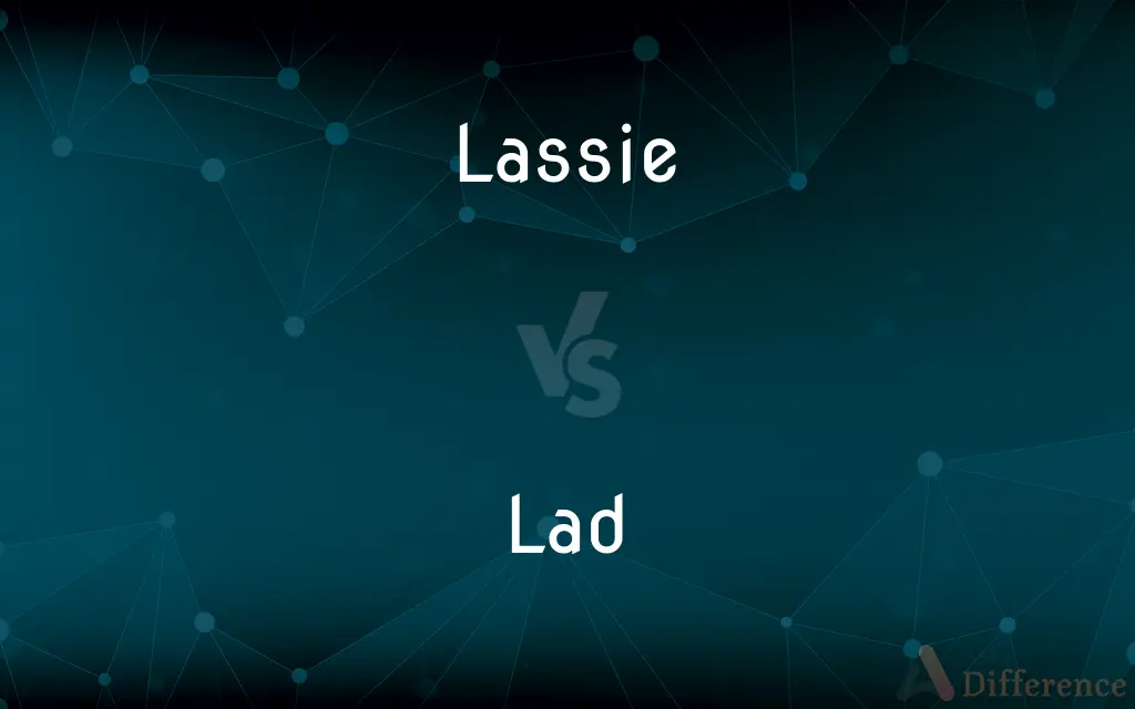 Lassie vs. Lad — What's the Difference?