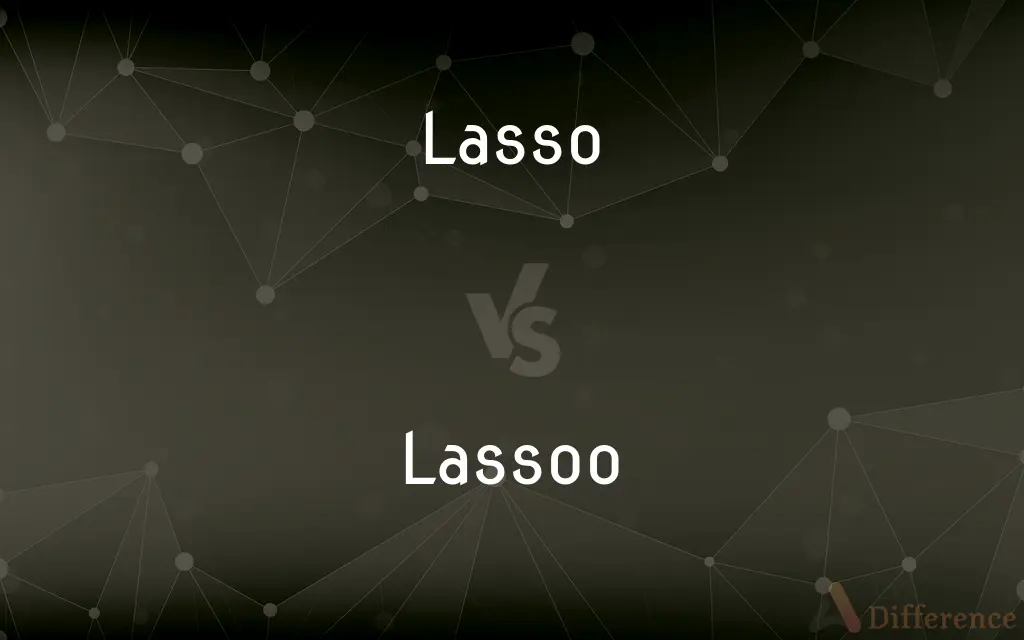 Lasso vs. Lassoo — Which is Correct Spelling?