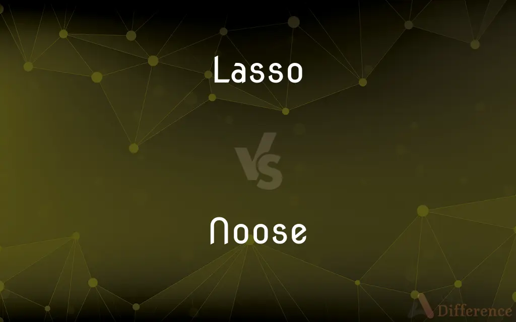Lasso vs. Noose — What's the Difference?