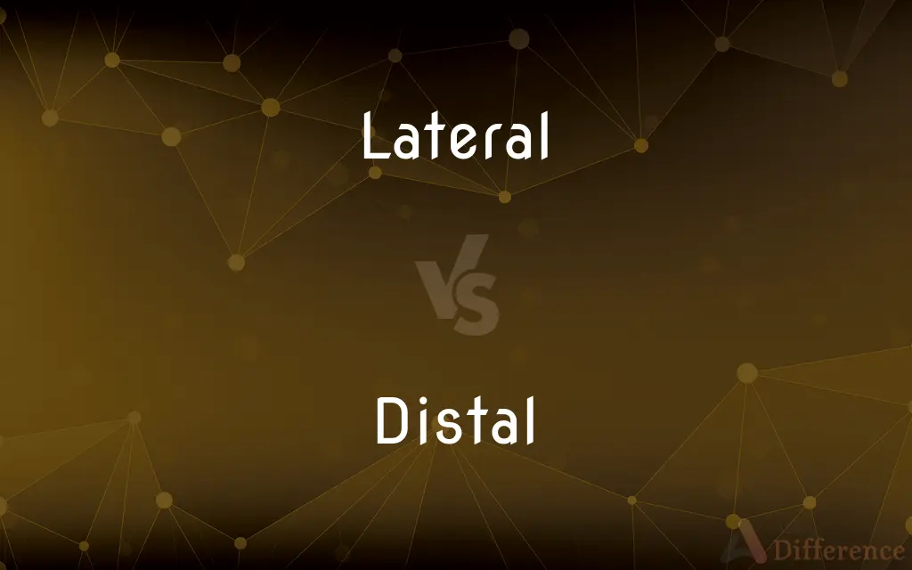 Lateral vs. Distal — What's the Difference?