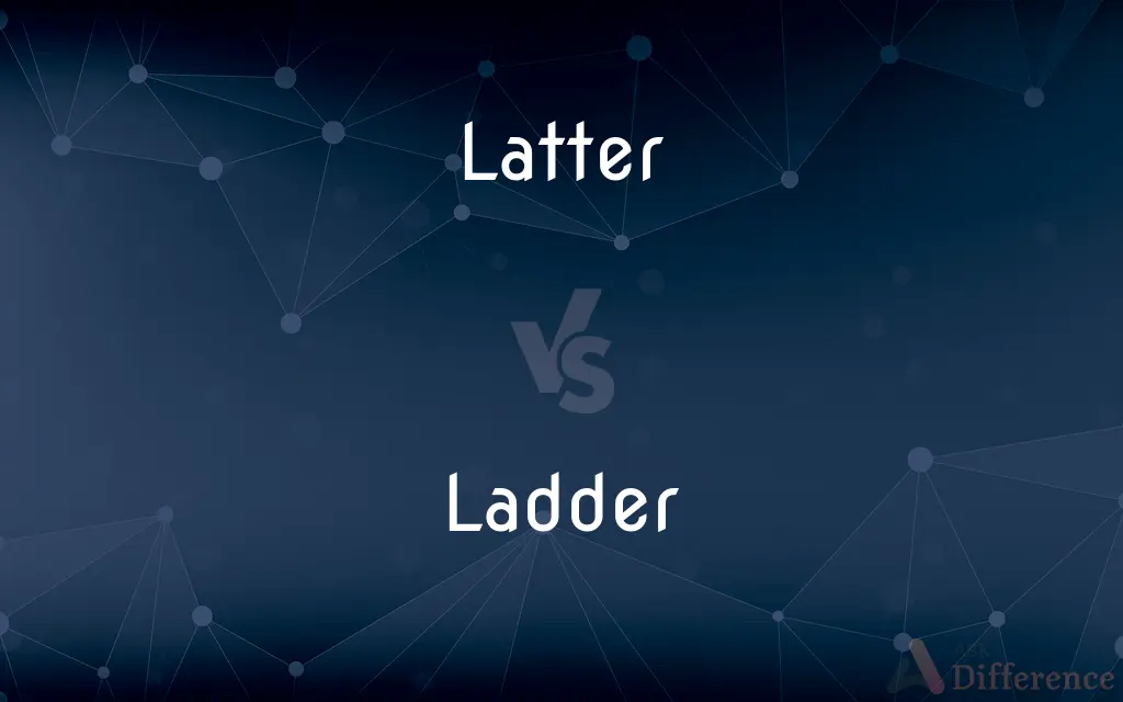 Latter vs. Ladder — What's the Difference?