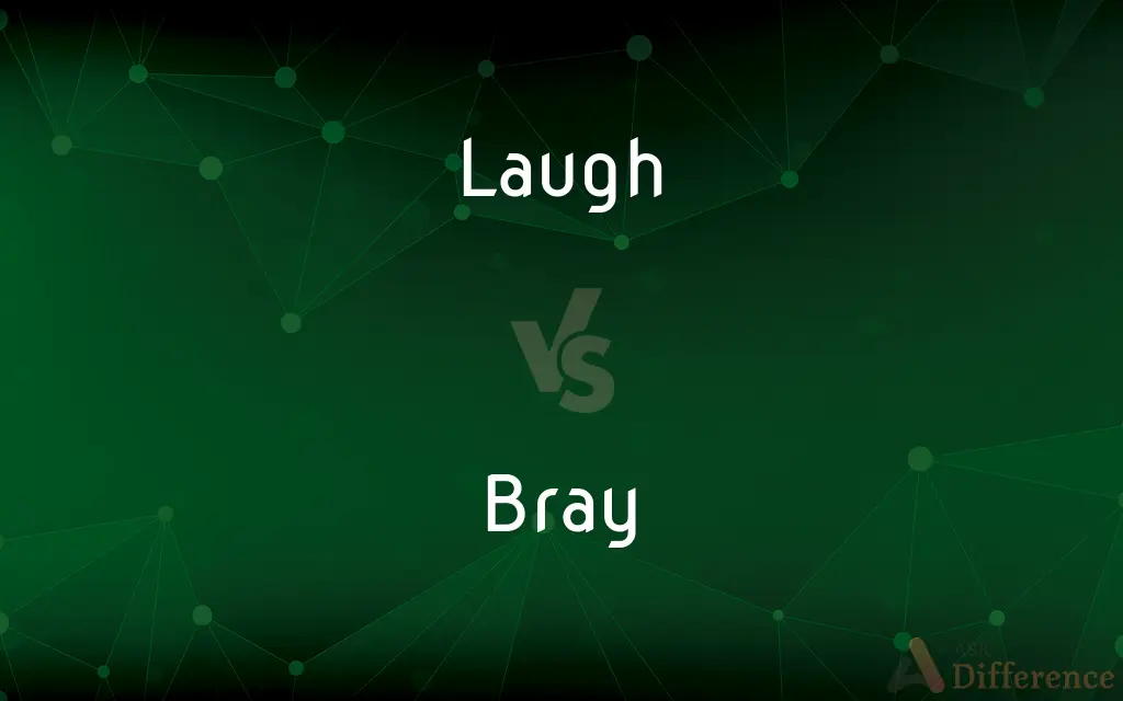 Laugh vs. Bray — What's the Difference?
