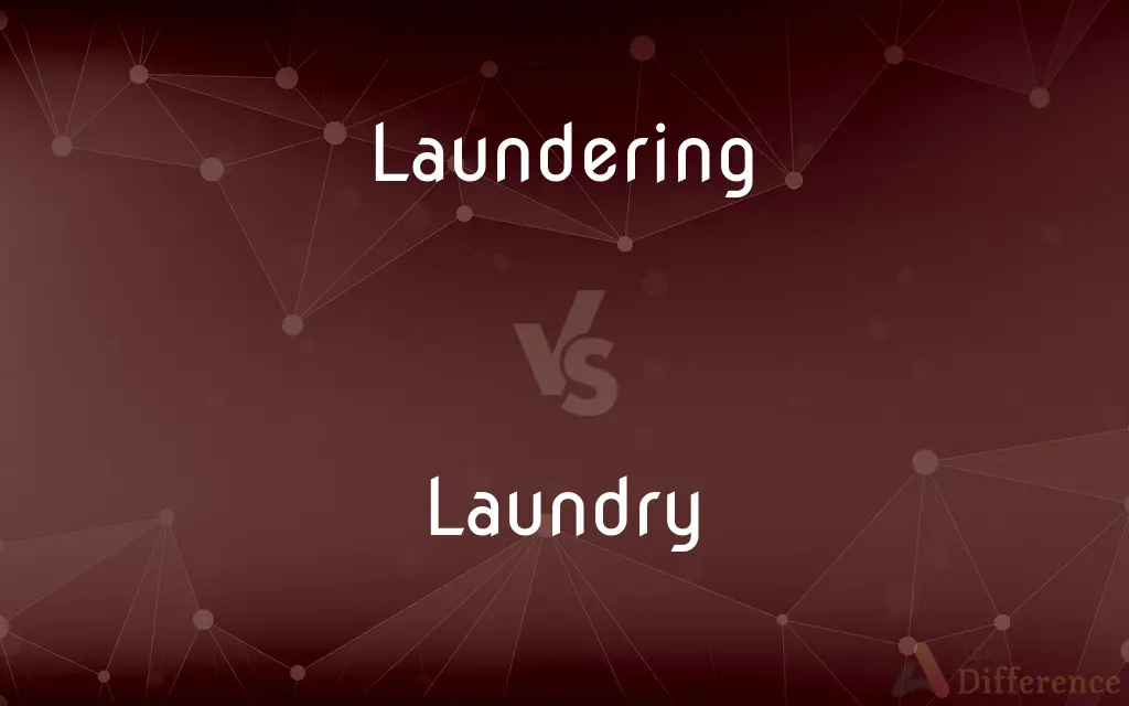Laundering vs. Laundry — What's the Difference?